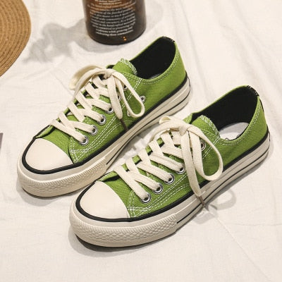 MOINES CANVAS SHOES
